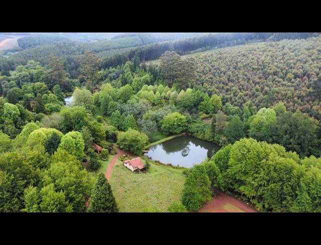 FARM FOR SALE IN TZANEEN RURAL